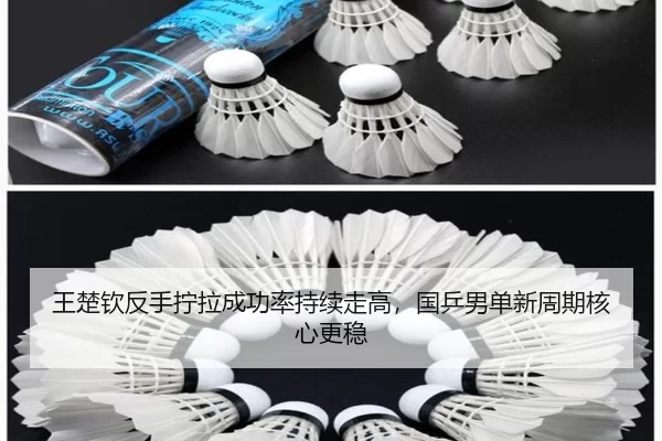 wang-chu-qin-fan-shou-ning-la-cheng-gong-lv-chi-xu-zou-gao-guo-ping-nan-dan-xin-zhou-qi-he-xin-geng-wen-2-236.jpg